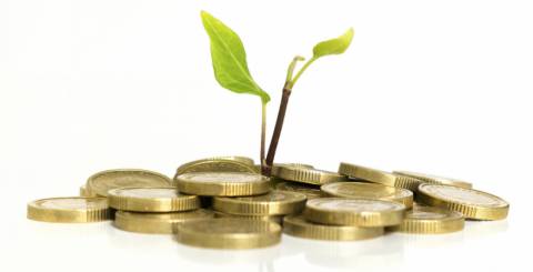 coins with plant